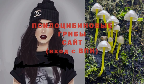 мяу мяу мука Абдулино