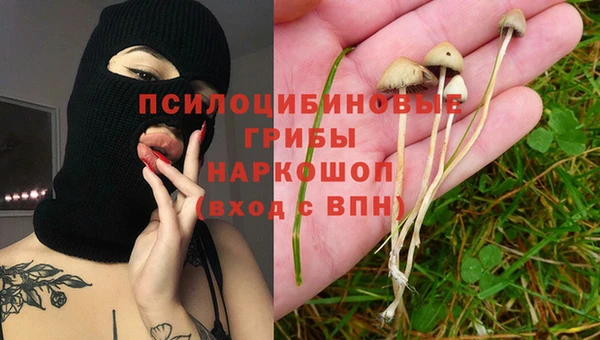 дмт Абинск