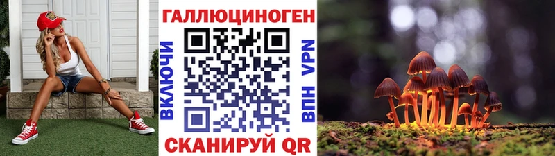 где купить   Нюрба  Псилоцибиновые грибы Cubensis 